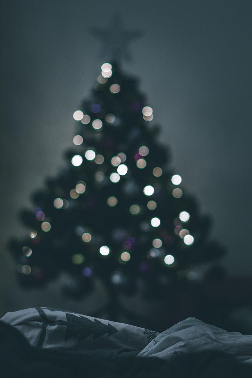 christmas tree, christmas, bokeh